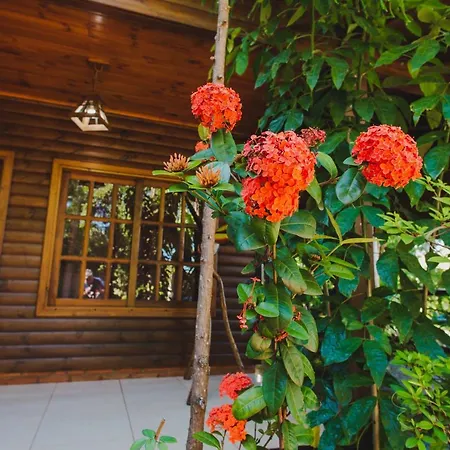 Cabanas Riberas Del Parana Puerto Iguazu Exterior photo